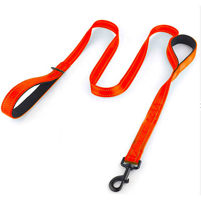 Dog Leash 01