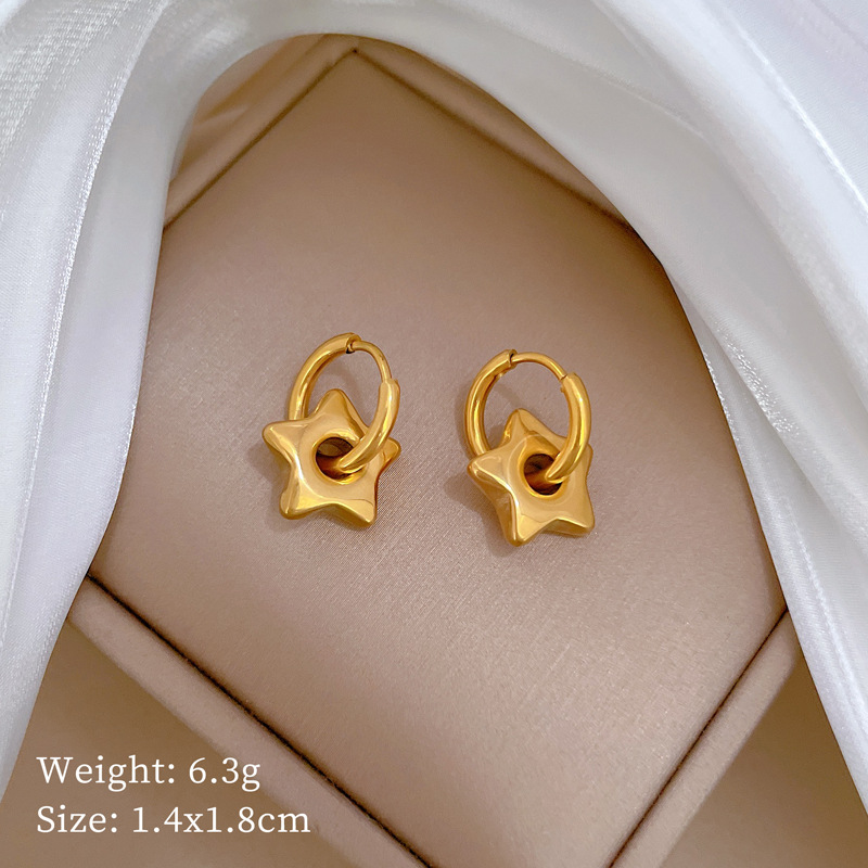 Earring T230